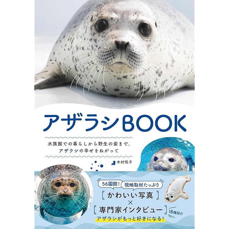 【完売商品】gelato pique AZARASHI 楽天市場】SALE30%OFF ジェラートピケ gelato pique あざらし柄